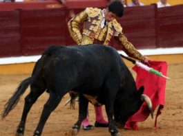 FOTO:Gallardo.